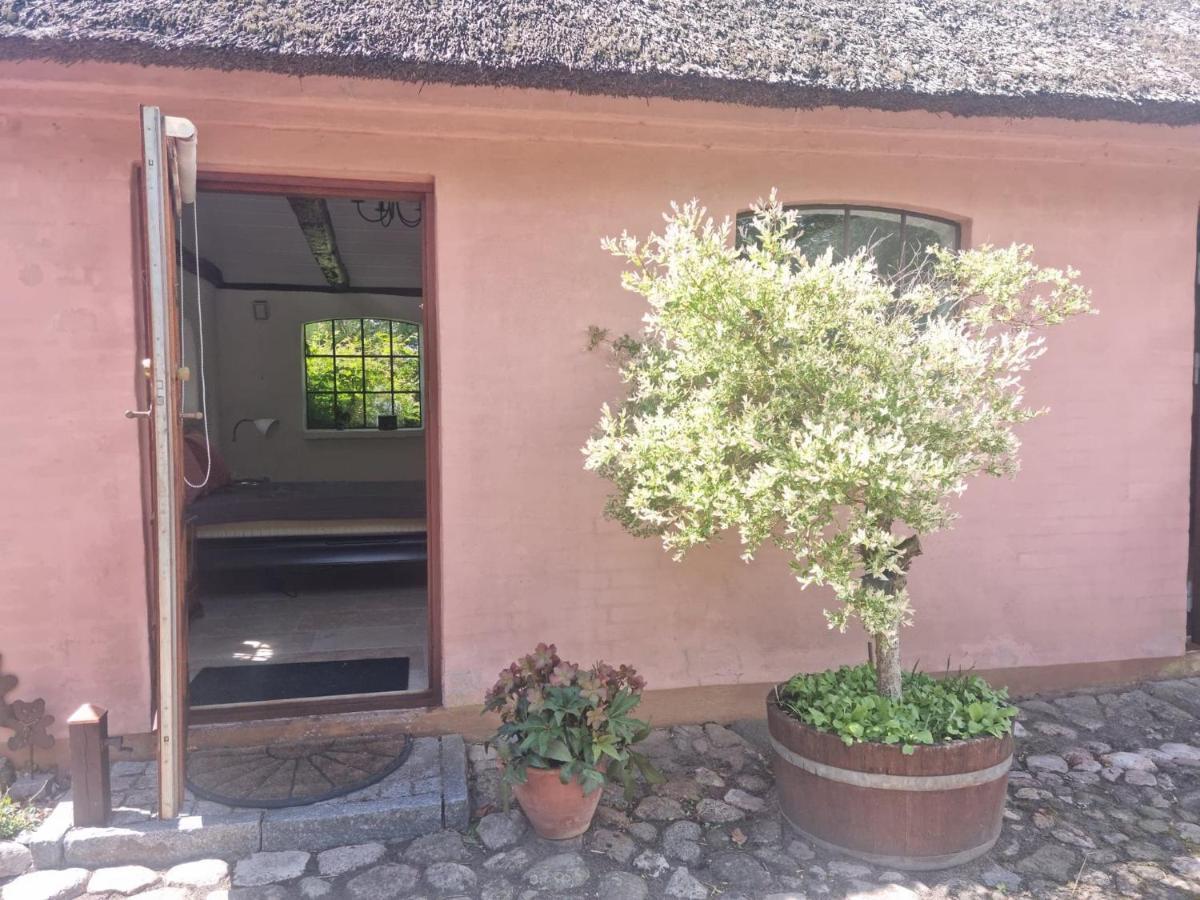 Liebhaveri I Saerklasse Arup  Exterior photo
