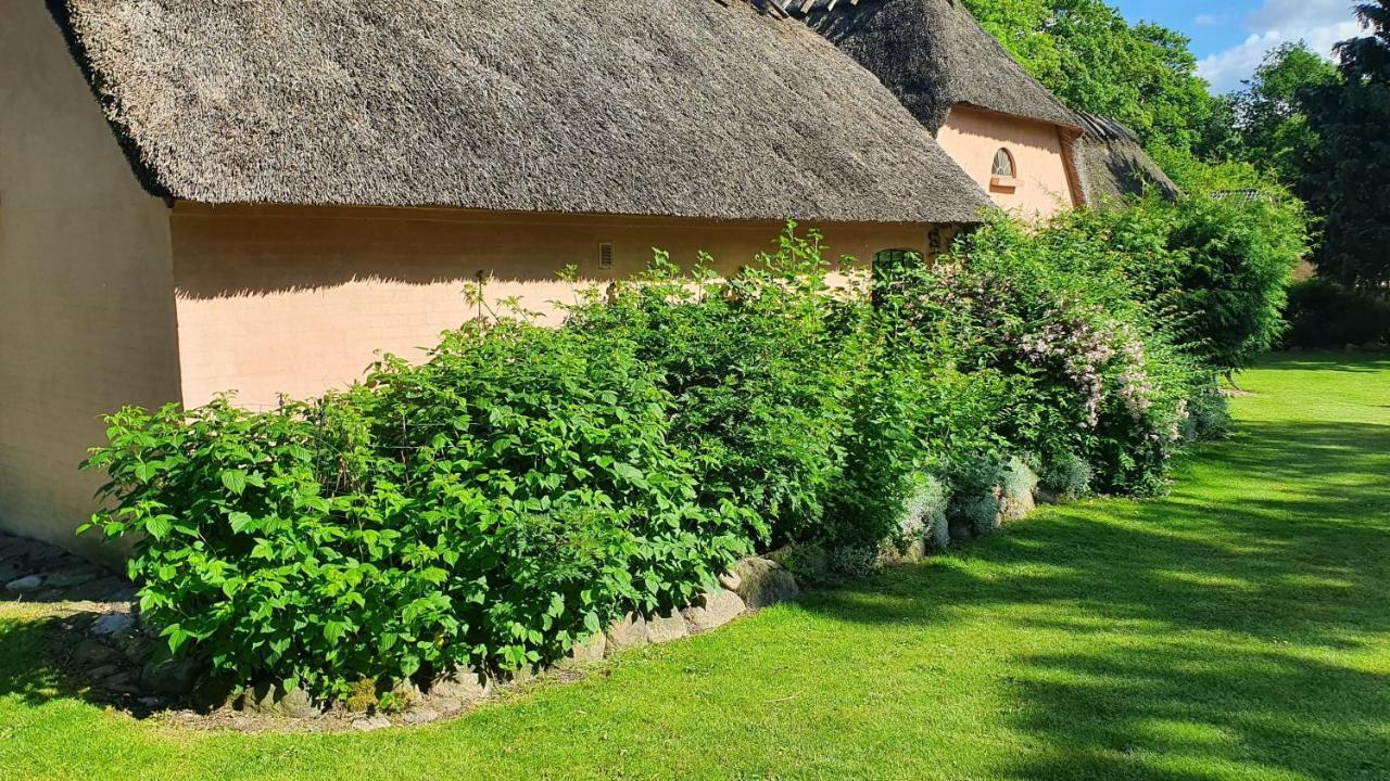 Liebhaveri I Saerklasse Arup  Exterior photo